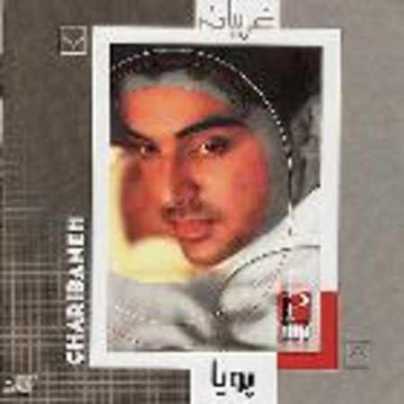 پویا سینه ریز